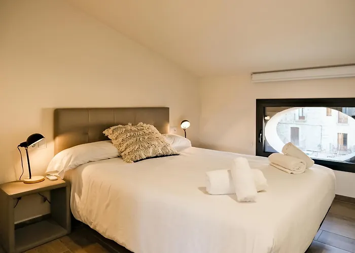 Can Cintet 3 Apartamento Con Terraza En Besalu